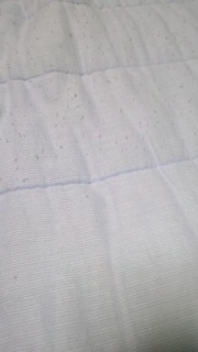 (untitled)